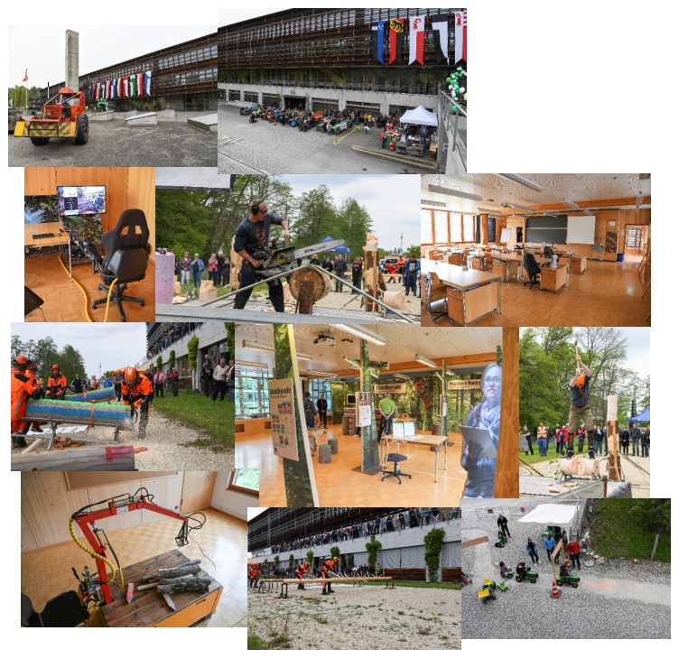 Collage Website Samstag TdoT_1