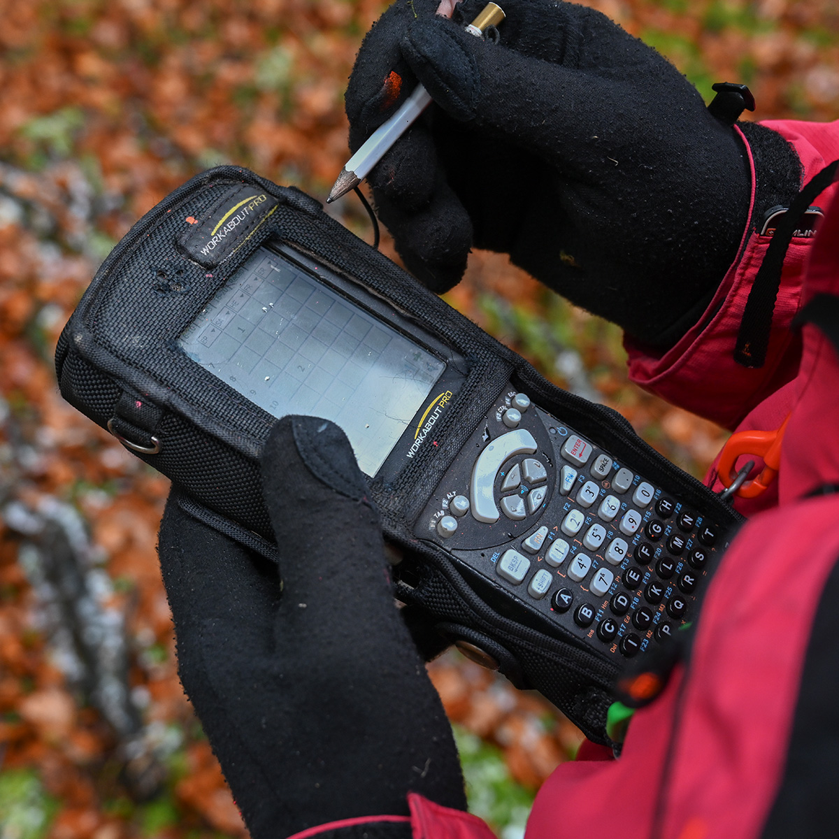 Forestier·ère ES en cours d’emploi