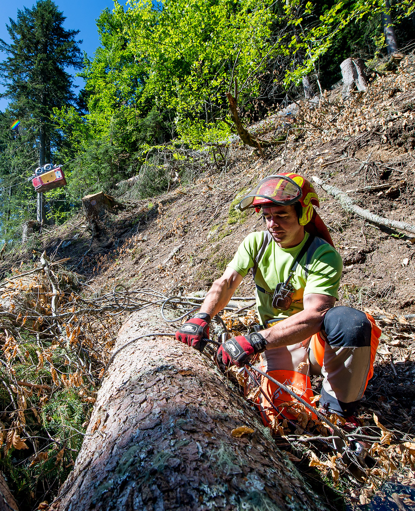 Chef·fe des opérations de câblage forestier