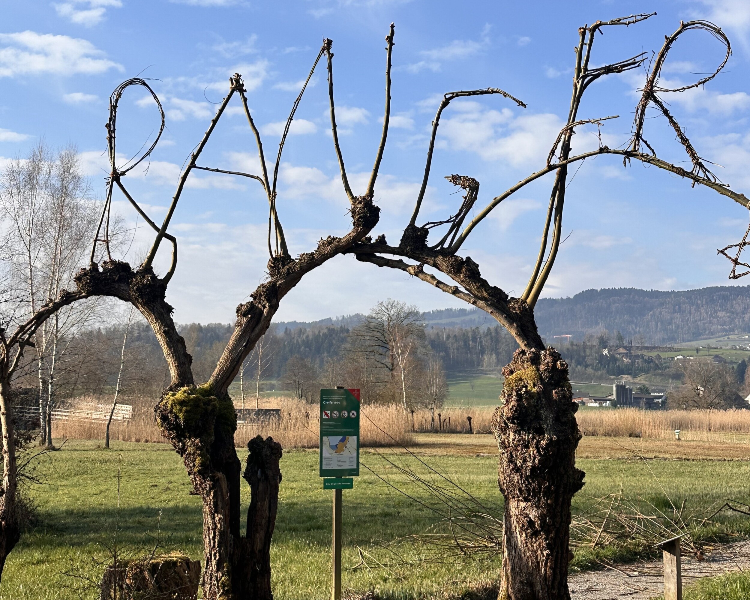 Neuer Ranger-Lehrgang am BZW Lyss